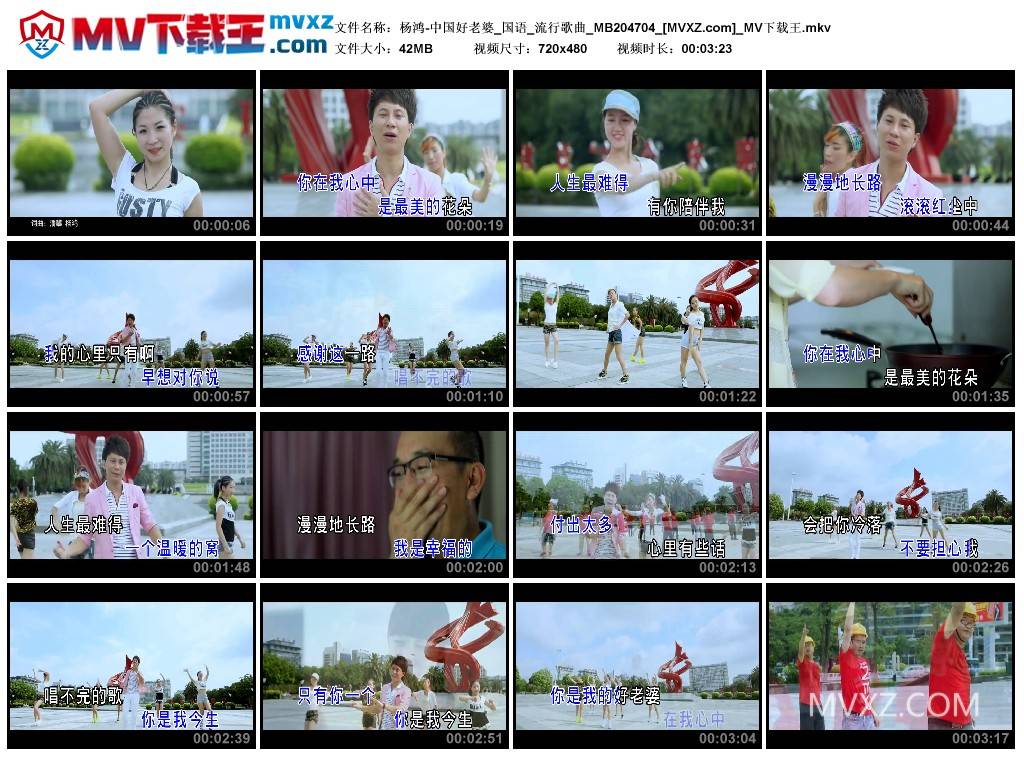 杨鸿-中国好老婆_国语_流行歌曲_MB204704